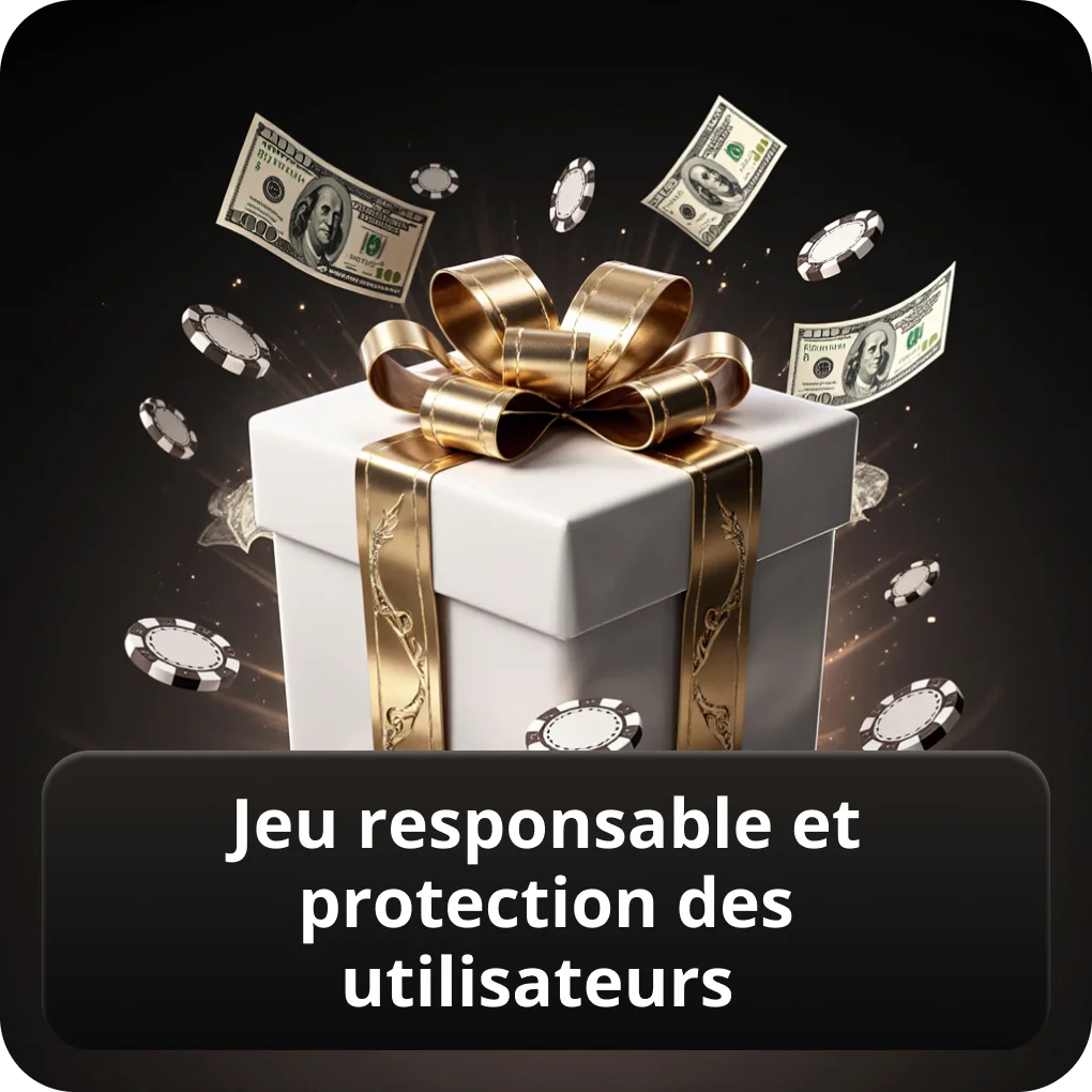 Jeu responsable et protection des utilisateurs 18+ Jeu responsable et protection des utilisateurs